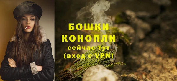 дмт Струнино