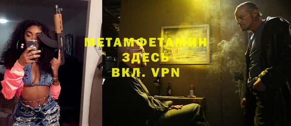 хмурый Тайга