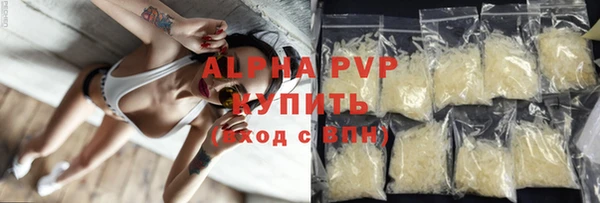 хмурый Тайга