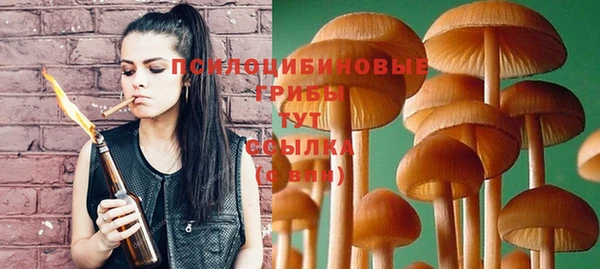 Альфа ПВП Тавда