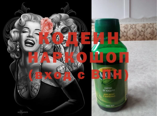 хмурый Тайга