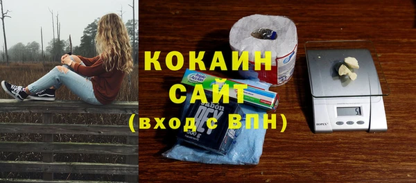 дмт Струнино