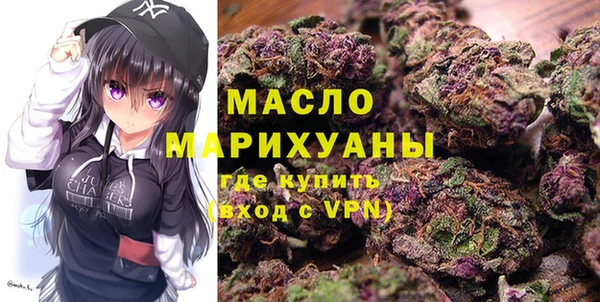 хмурый Тайга