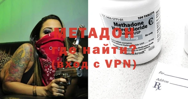 хмурый Тайга